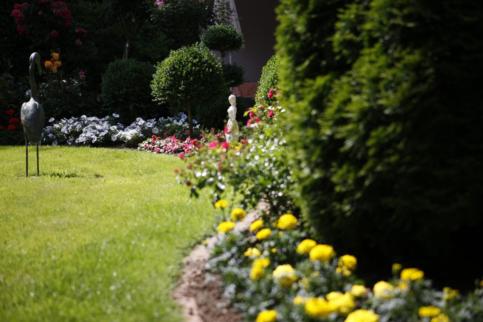 Pension Haus Wernemann บัดโรเทนเฟลเดอ ภายนอก รูปภาพ